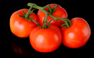 red tomatoes on branch isolated on black background