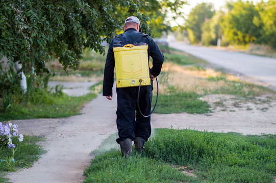 A Man In Overalls From A Sprayer Behind His Back To Spray Weeds.  Pest Control Concept