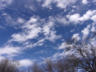 blue sky and white clouds