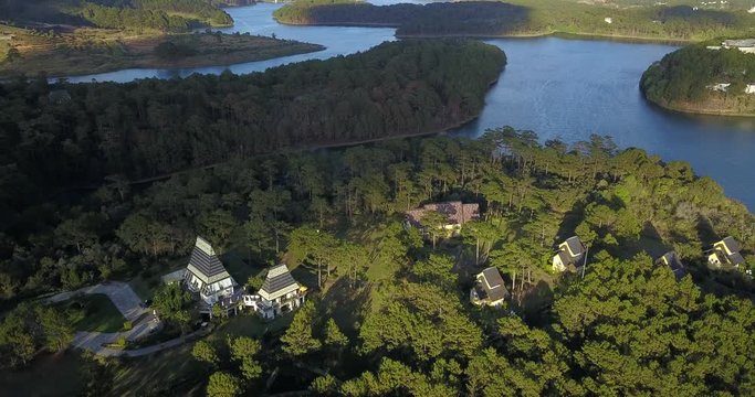 green pine forest in tuyen lam lake