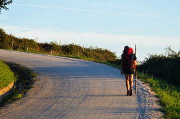 A pilgrim in the path, Camino de Santiago - obrazy, fototapety, plakaty