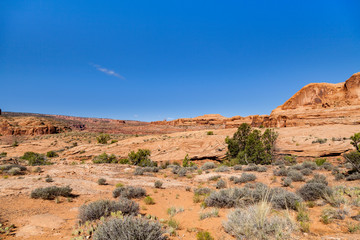 Fototapeta premium Arches National Park Landscape in Utah