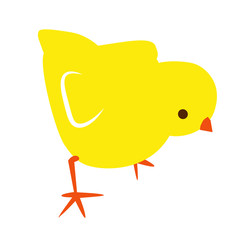 cute spring yellow vector little easter chick
