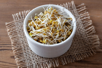 Sprouted fenugreek seeds in a white bowl