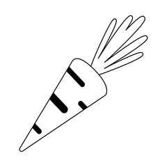 carrot fresh vegetable black and white