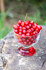 Fresh ripe sweet summer berries. Red wet cherries in a transparent vase on tree stump outdoors.