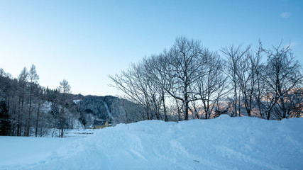 Obraz premium Winter Snow Landscape