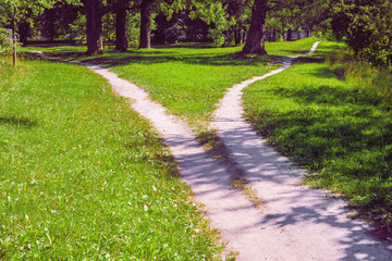 Forked footpath in the park, diverging in different directions