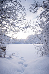 Obraz premium Foot prints in the snow on an icy and snowy lake