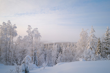a view from the top of a hill in a snowy forest
