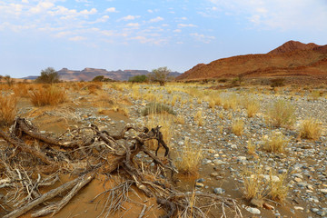 dried riverbed dry soil - Namibia Africa