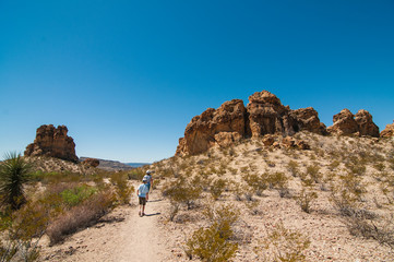 two kids walking on hiking trail in a desert of Big Bend National Park,