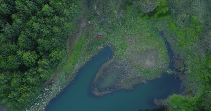 green pine forest in tuyen lam lake