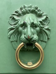 Lion door