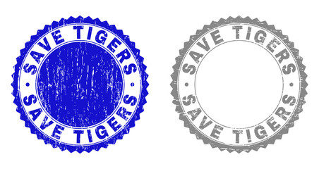 Grunge SAVE TIGERS stamp seals isolated on a white background. Rosette seals with grunge texture in blue and grey colors. Vector rubber stamp imitation of SAVE TIGERS tag inside round rosette.