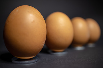 Anordnung von mehreren Eiern für Ostern vor schwarzen Hintergrund.Mit Platz für eigenen Text