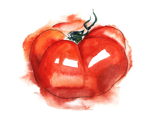 Ripe juicy red tomato. Hand-drawn watercolor illustration on wet paper