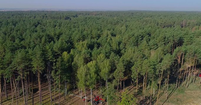 The forestry industry. Pine Forest Harvesting Machine. Logging Equipment. The harvester lumberjack working in a forest. Forest Wheeled Harvesters. A cut-to-length (CTL) forest harvester. 