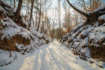 A winter road through a gorge surrounded by trees