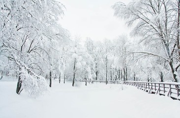 wooden fence and trees under snow in winter