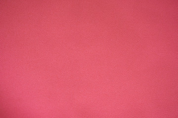 Living coral texture