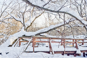 wooden bridge in city park on a winter day