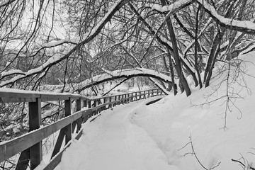 footpath next to a fence in winter park black and white