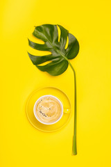Creative flat lay with cup of coffee and tropical plant