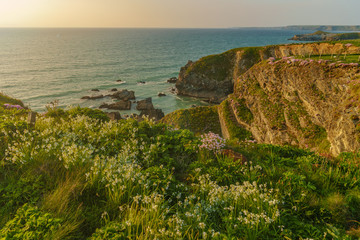 Cornwall Küste Sonnenuntergang