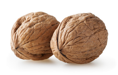 Walnuts isolated on white background with clipping path