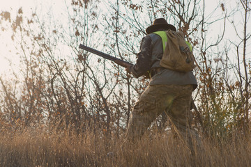 Silhouette of a hunter with a gun in the reeds against the sun, an ambush for ducks with dogs	