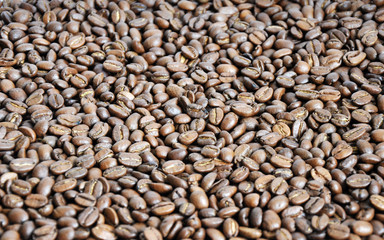 coffee beans background