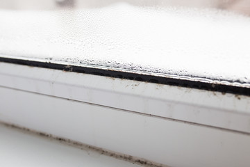 mold on a foggy plastic window of white color.