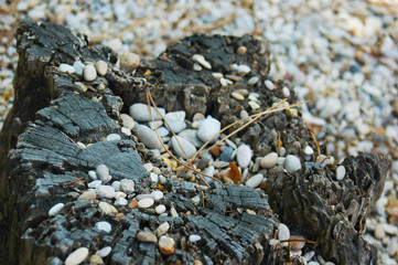 Natural background with wood and small rocks