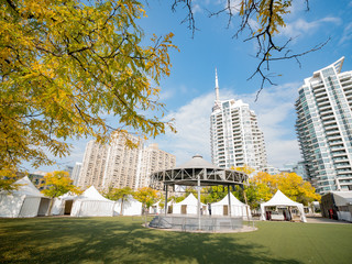 Morning view of some modern residence building with fall color