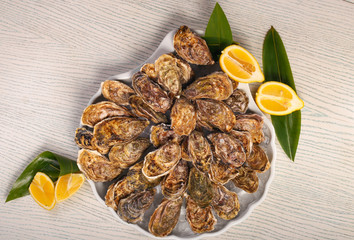 big plate of oysters with two lemons and vine on black wood background 