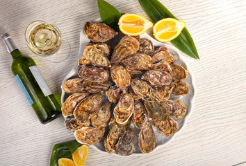 big plate of oysters with two lemons and vine on black wood background 