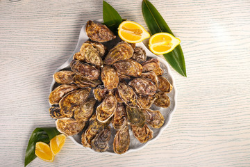 big plate of oysters with two lemons and vine on black wood background 