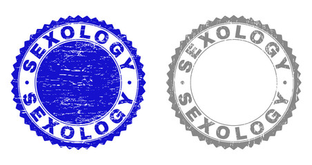 Obraz premium Grunge SEXOLOGY stamp seals isolated on a white background. Rosette seals with grunge texture in blue and gray colors. Vector rubber stamp imitation of SEXOLOGY text inside round rosette.