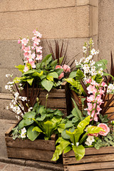 Fototapeta premium Maceteros de madera con plantas en una calle.
