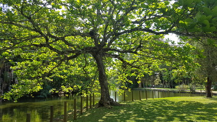 Obraz premium Botanischer Garten