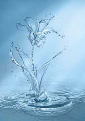 flower made of water splashes isolated on empty background