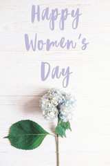 Happy Women's Day text sign on beautiful blue hydrangea flower on rustic white wood, flat lay. Stylish floral greeting card. International womens day 8 march
