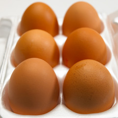 SIX BROWN EGGS IN WHITE EGG BOX IN CLOSE UP