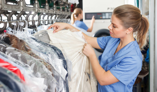 Worker Of Laundry Inspecting Clothes After Dry Cleaning