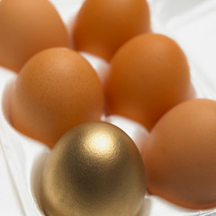 ONE GOLD AND FIVE BROWN EGGS IN WHITE EGG BOX IN CLOSE UP