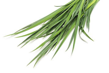 Bunch of green grass.