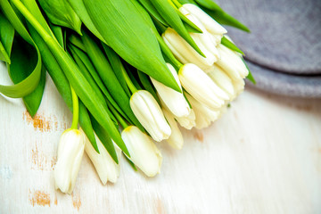 exquisite fresh white tulips on grey and white background for text, copy space