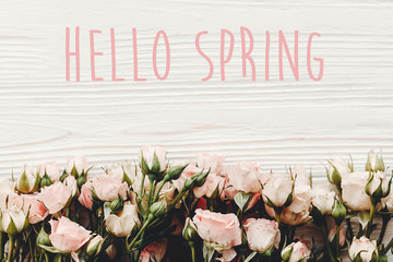 Hello Spring text sign on pink small roses on wooden background. Stylish floral greeting card.