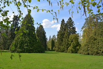 Arboretum